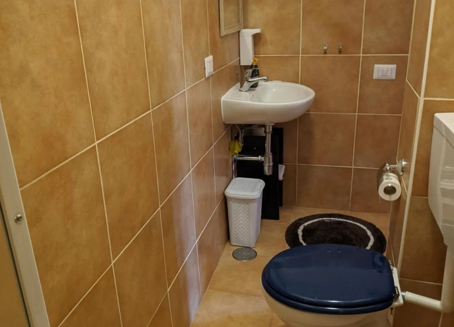 فندق مبيت وإفطار روما B&B Gina Trastevere إيطاليا